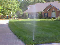 Photo of a Do-It-Yourself Irrigation Sprinkler System Installation